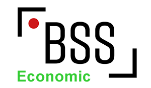 The BSS logo for the Economic Case