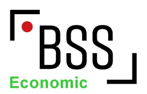 Das Logo für die Economic Produkte von BSS Streaming Service