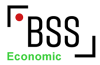 The BSS logo for the Economic Case